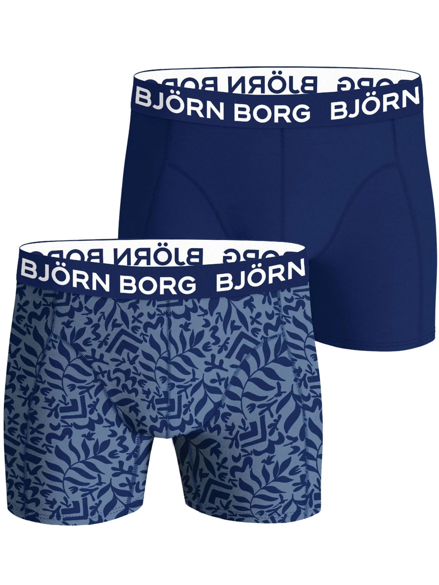 2-Pack Fern Leaf Bamboo Boxer Briefs, Blue