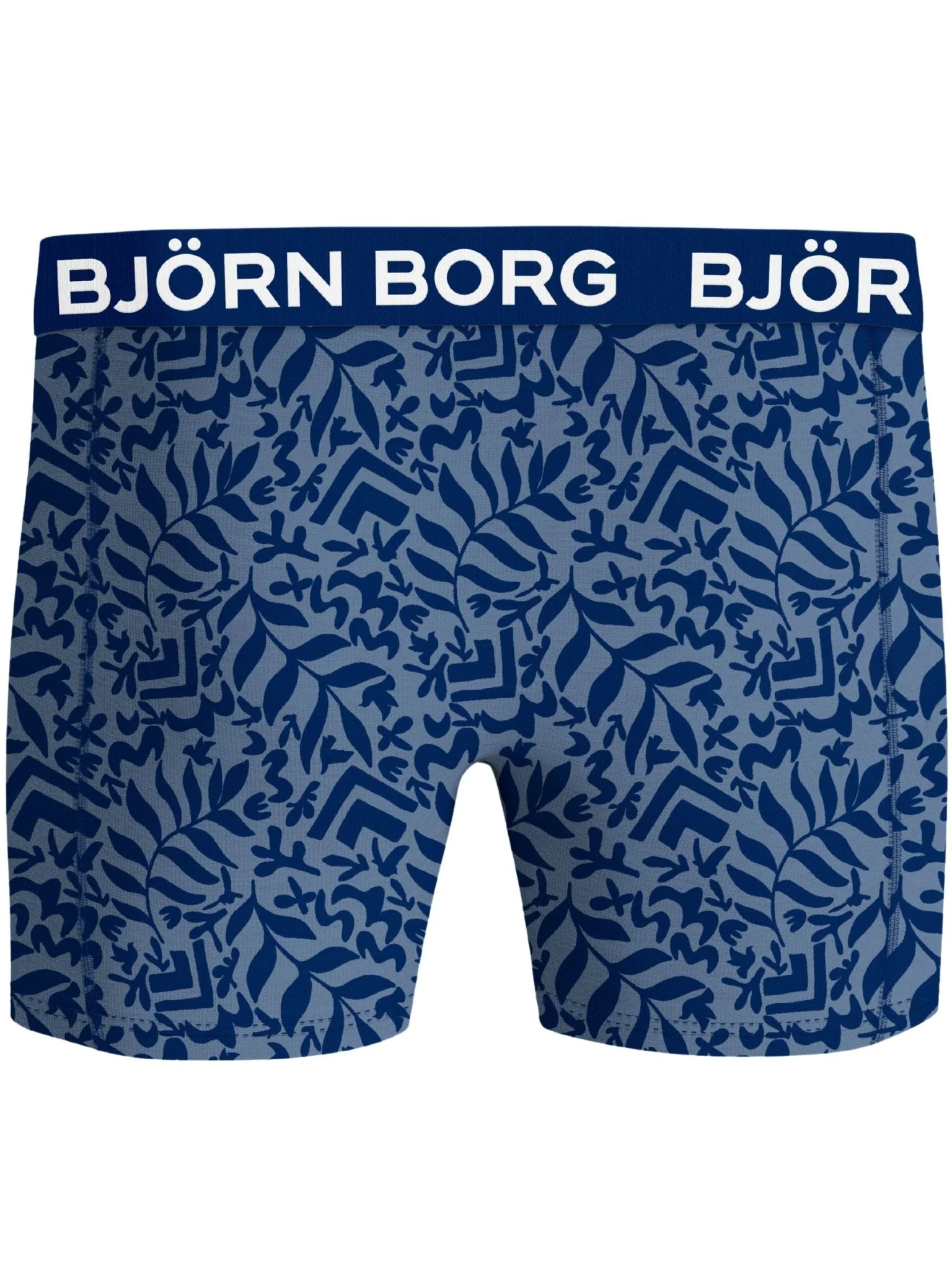 2-Pack Fern Leaf Bamboo Boxer Briefs, Blue - Image 3