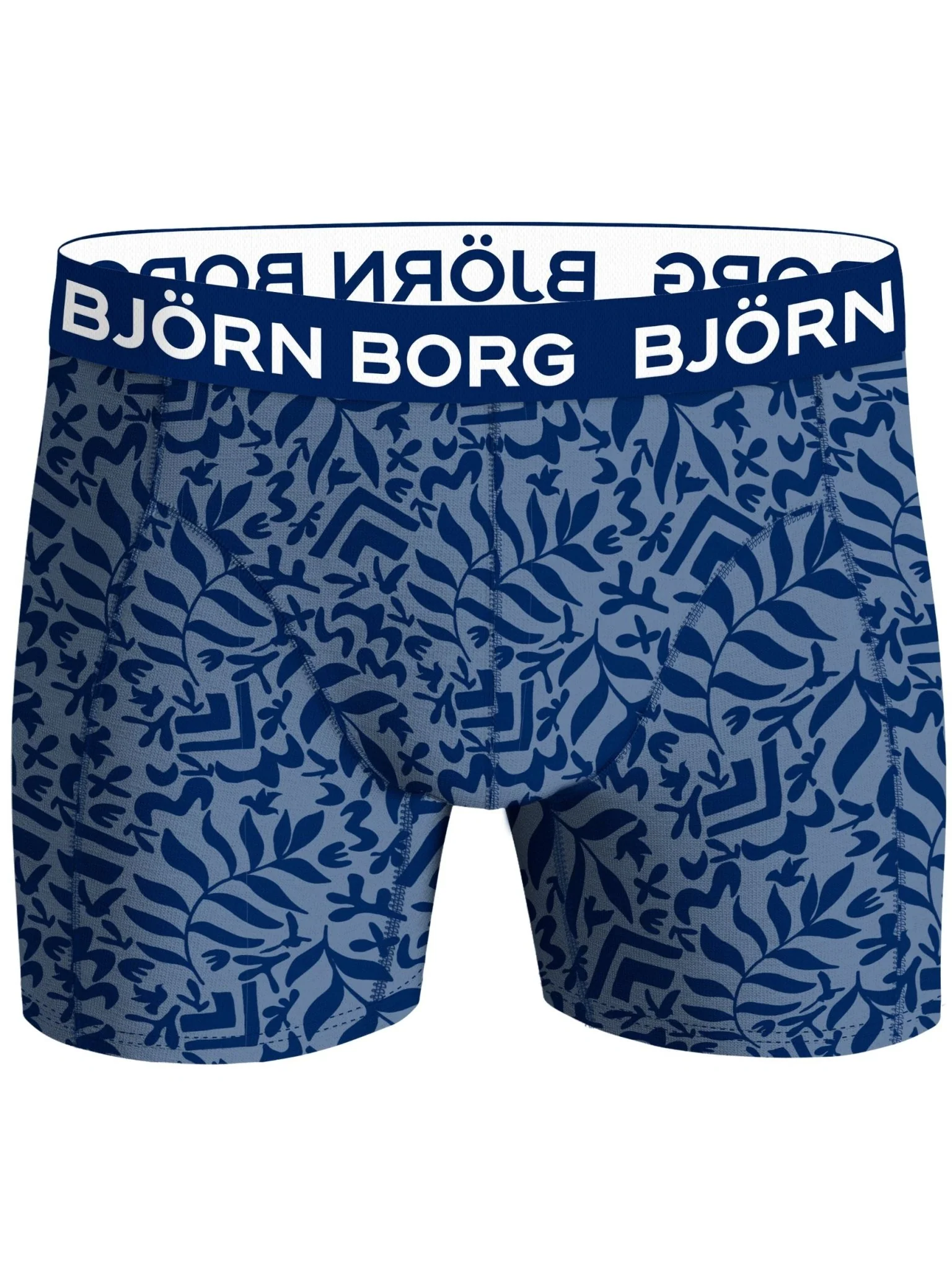 2-Pack Fern Leaf Bamboo Boxer Briefs, Blue - Image 4