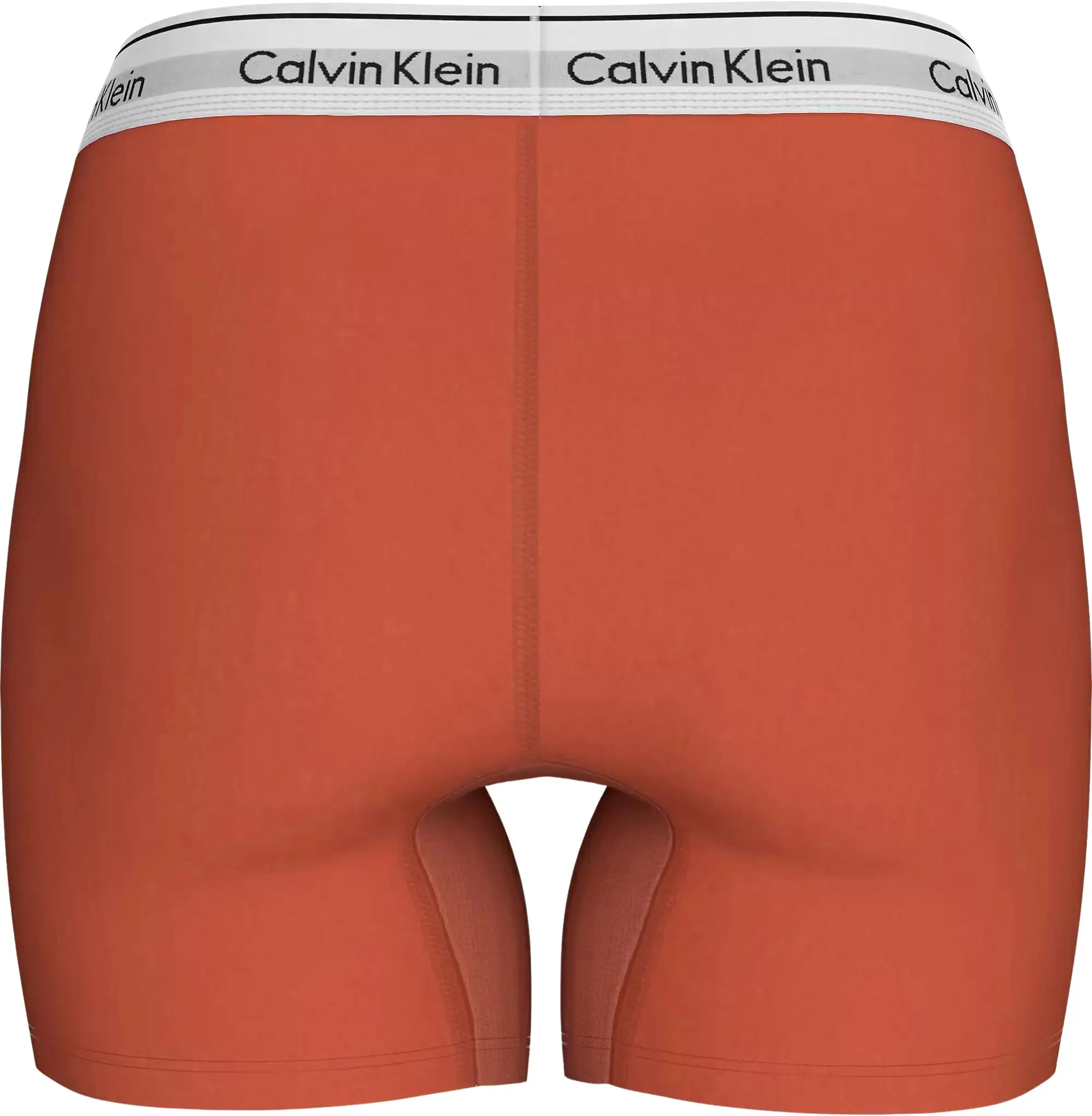 Icon Cotton Women's Modal Pride Boxer Brief, Molten - Image 2