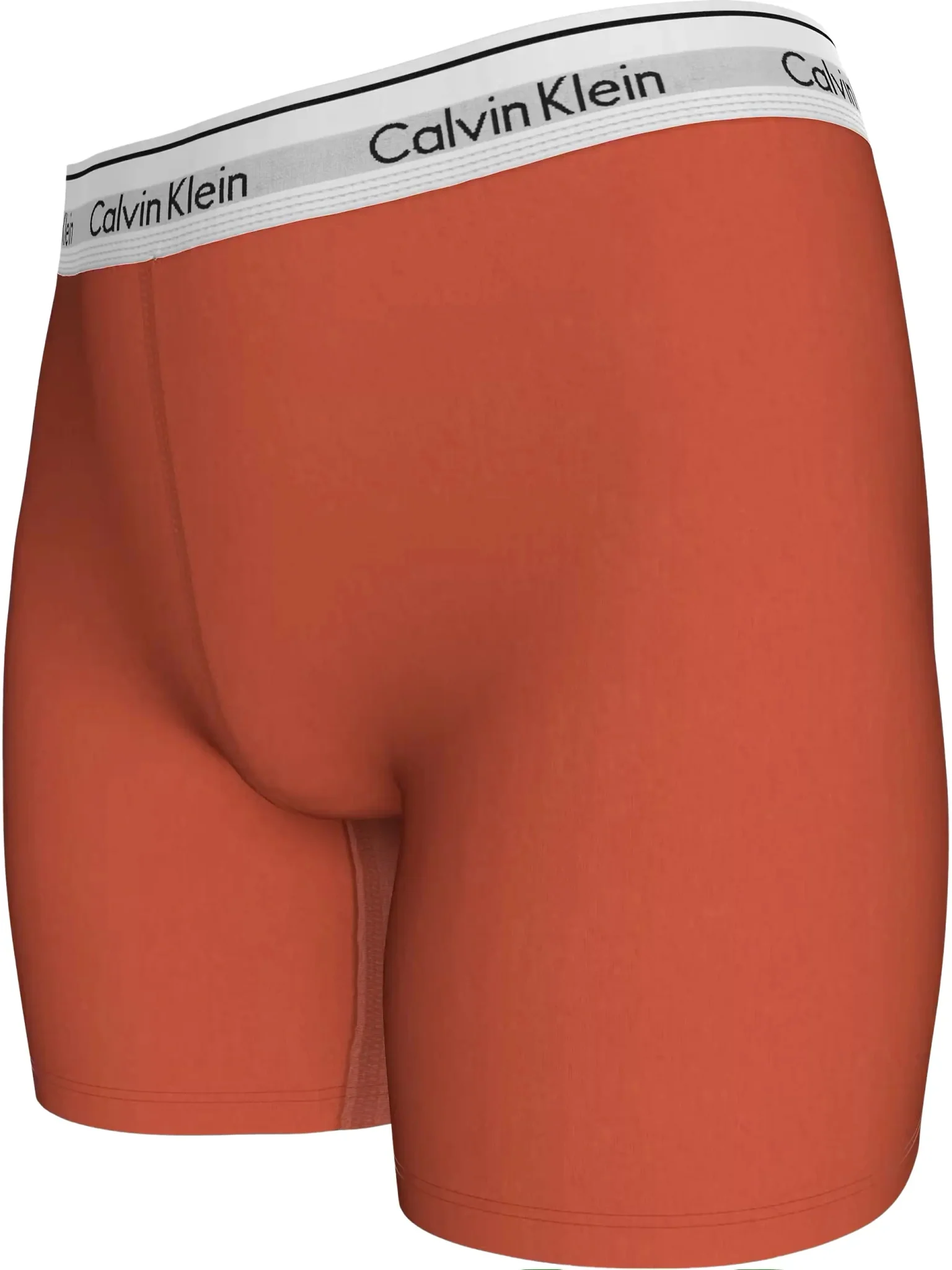 Icon Cotton Women's Modal Pride Boxer Brief, Molten - Image 3