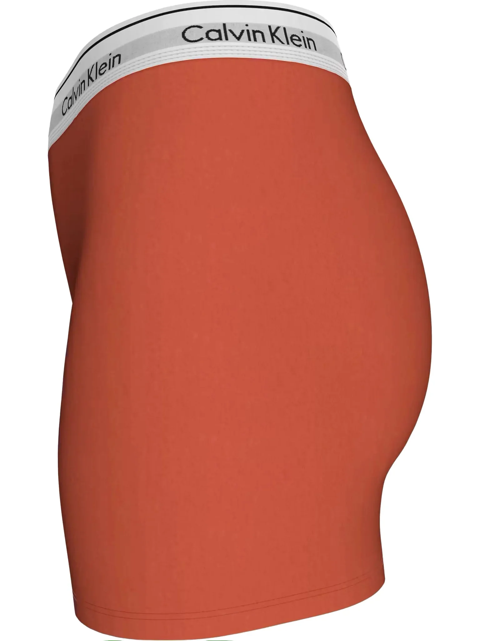 Icon Cotton Women's Modal Pride Boxer Brief, Molten - Image 4