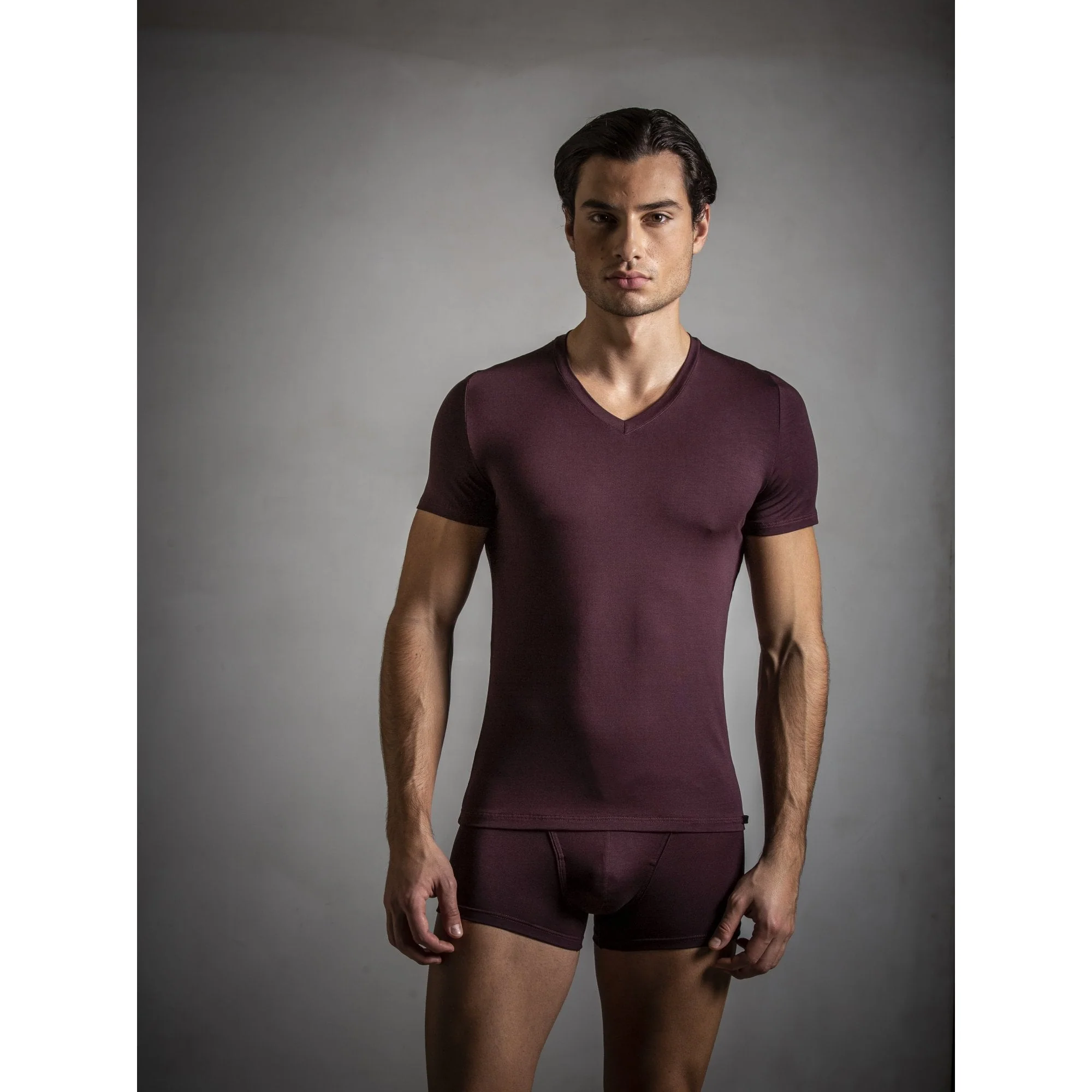 Tencel Soft V-Neck T-Shirt, Burgundy - Image 3