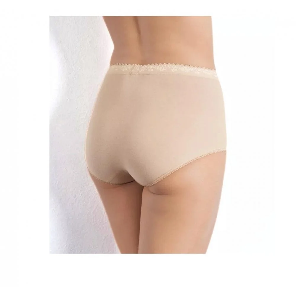 Control 2-Pack Maxi Briefs, Skin - Image 4