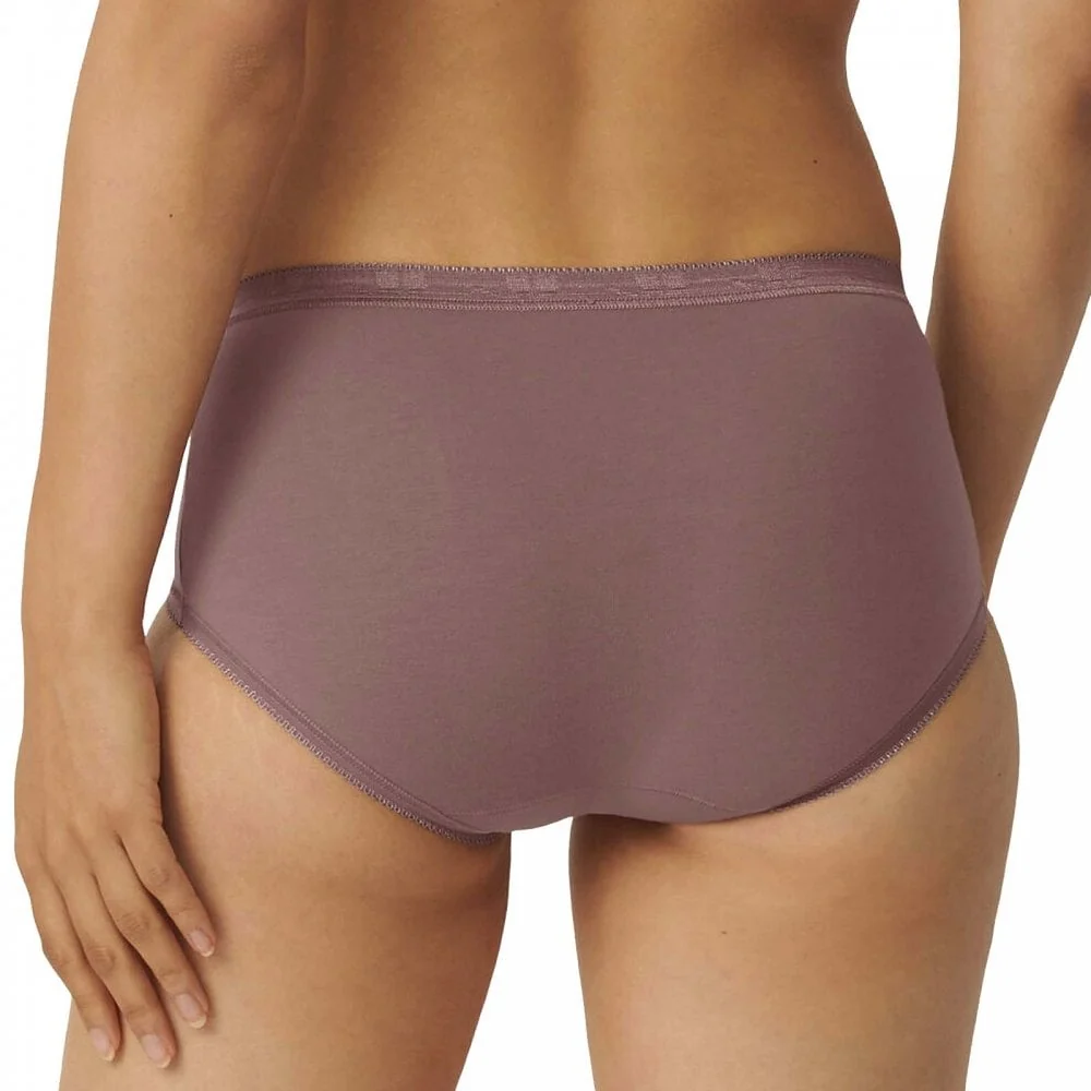 Holiday Edition 3 Pack Midi Brief, Brown/Light Combination - Image 3