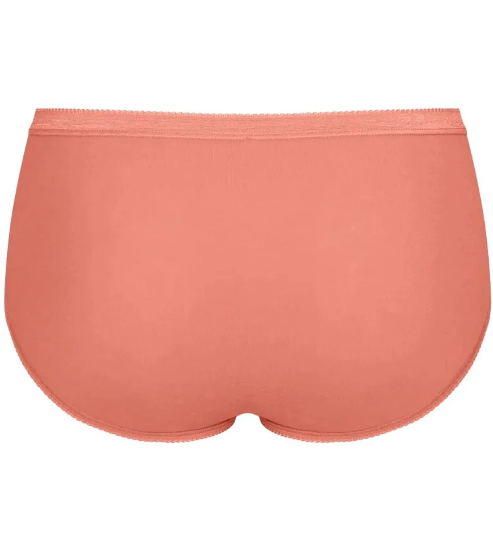 Basic+ 3-Pack Cotton Midi Briefs, Apricot/White/Orange - Image 6