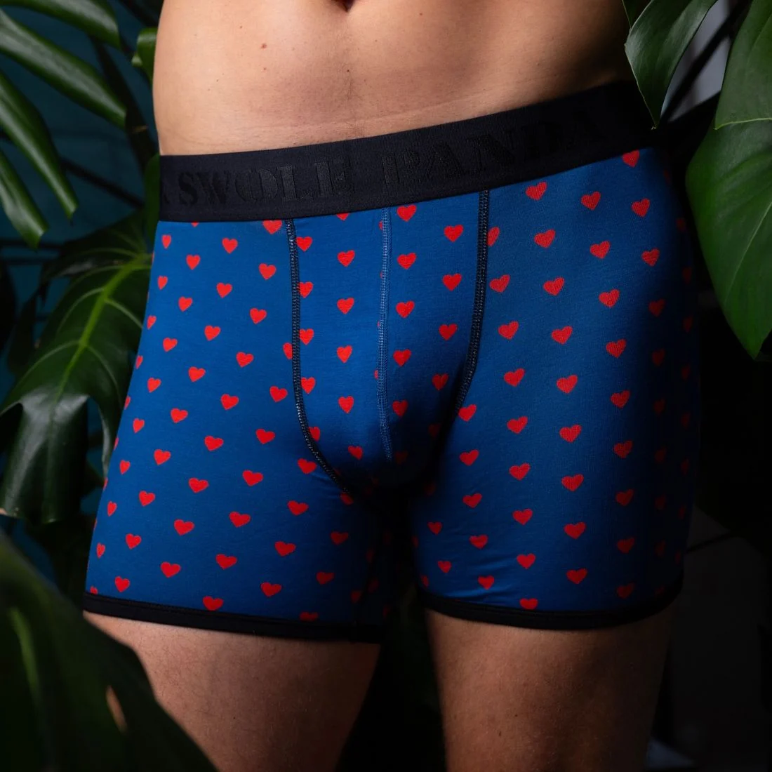 Hearts Bamboo Boxer Brief, Blue/red - Image 2
