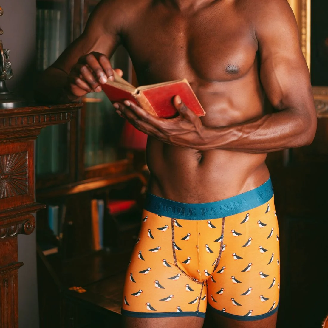 Puffins Bamboo Boxer Brief, Orange/blue - Image 2