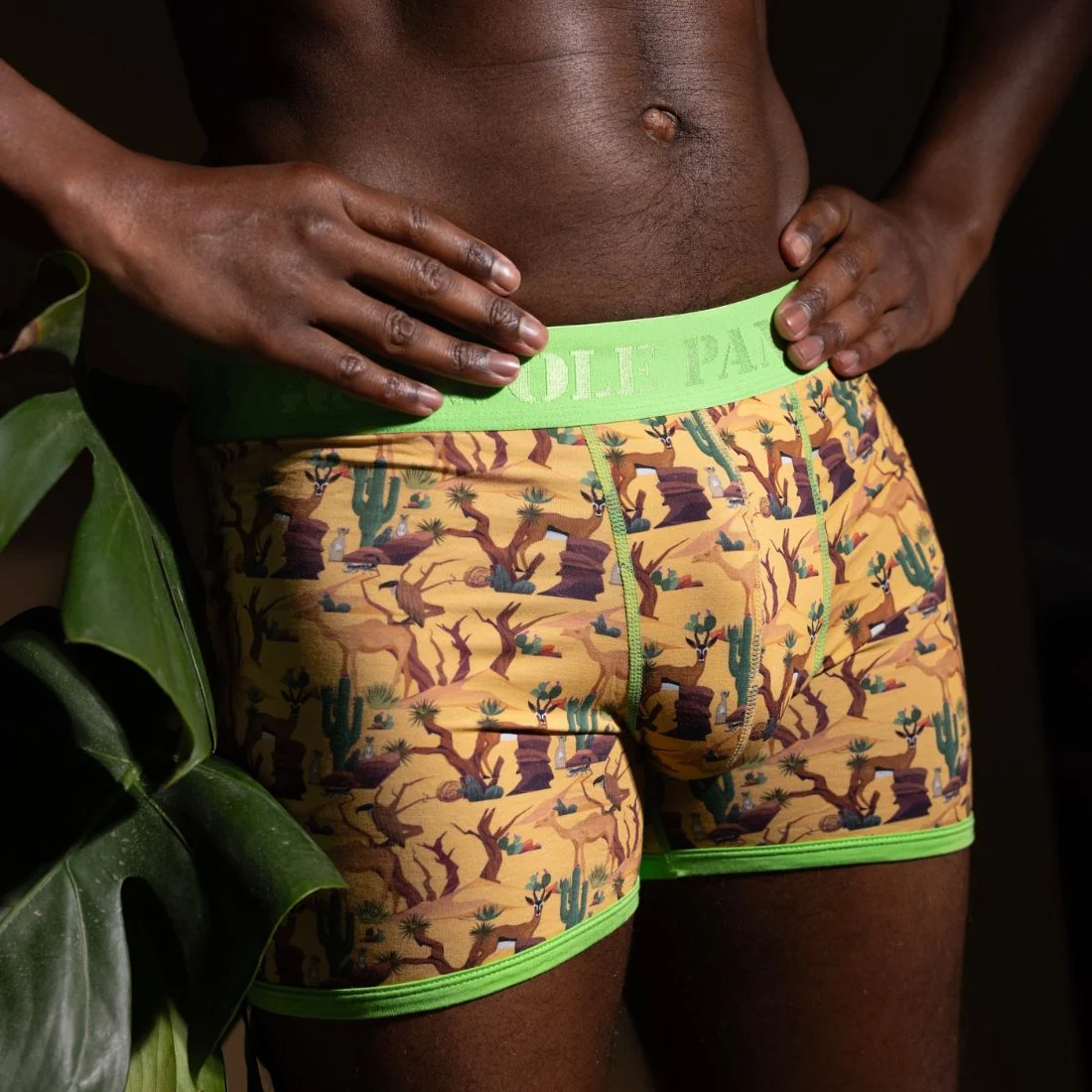 Savannah Bamboo Boxer Brief, Yellow - Image 6