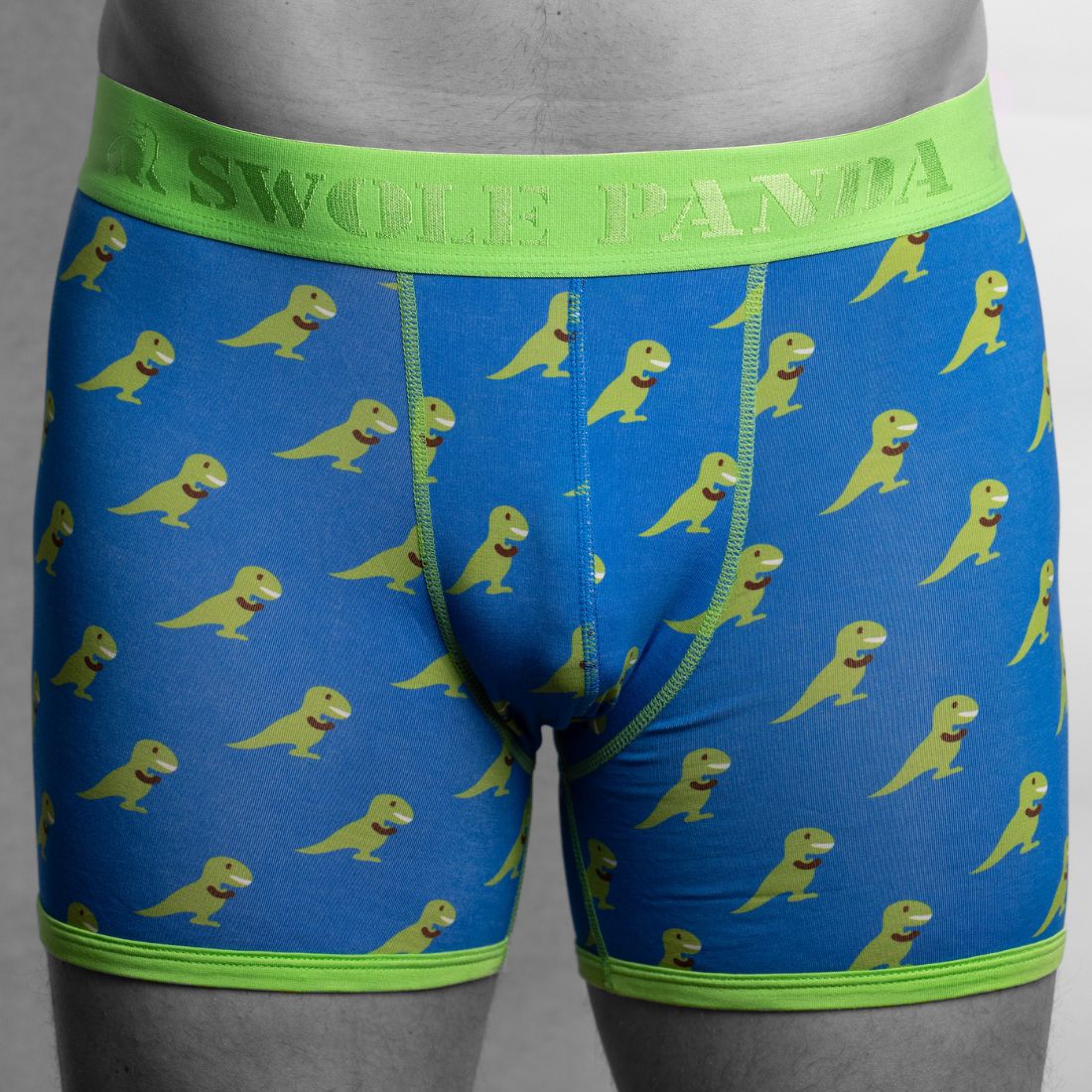 T-Rex Bamboo Boxer Brief in Blue/green