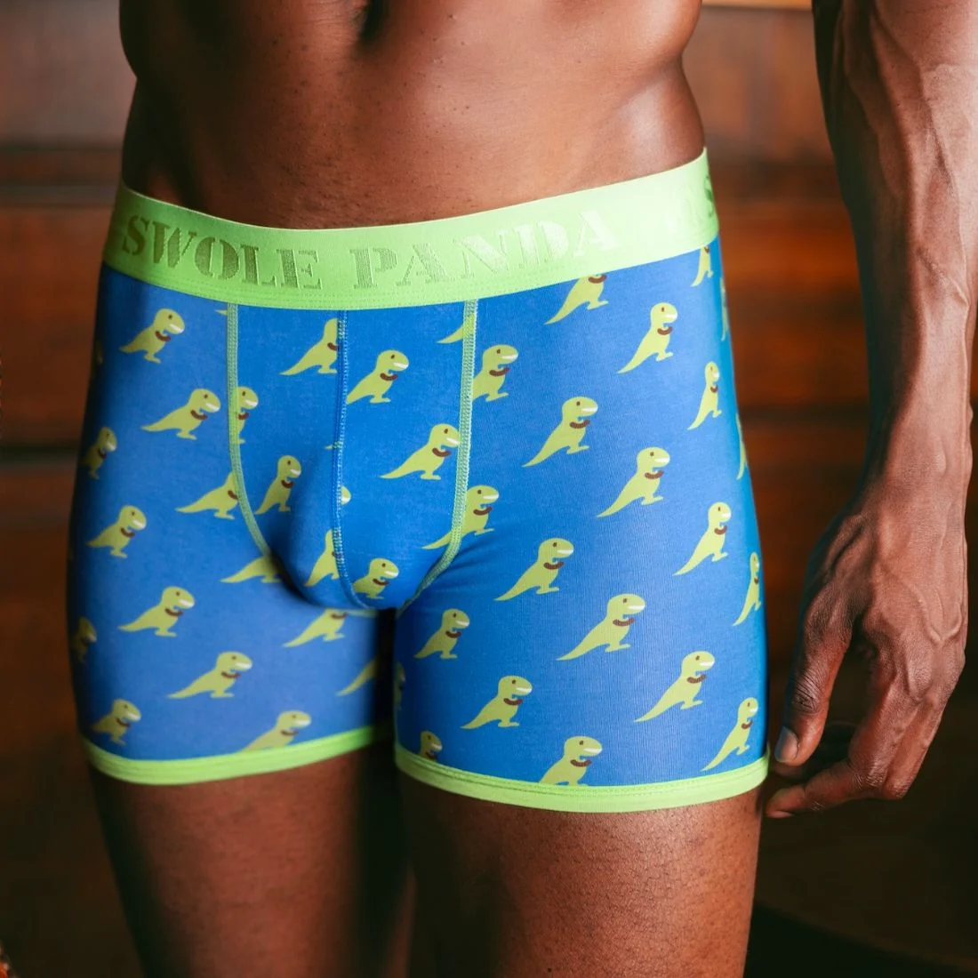 T-Rex Bamboo Boxer Brief in Blue/green - Image 3