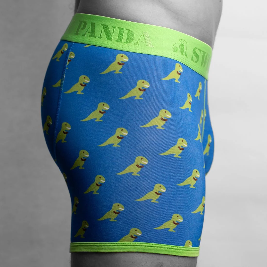 T-Rex Bamboo Boxer Brief in Blue/green - Image 4