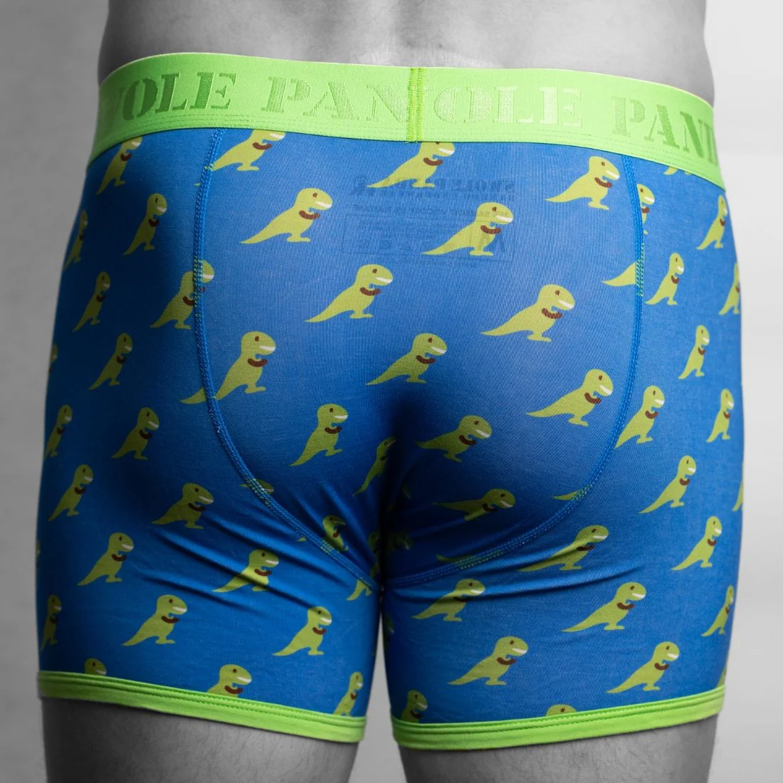 T-Rex Bamboo Boxer Brief in Blue/green - Image 5