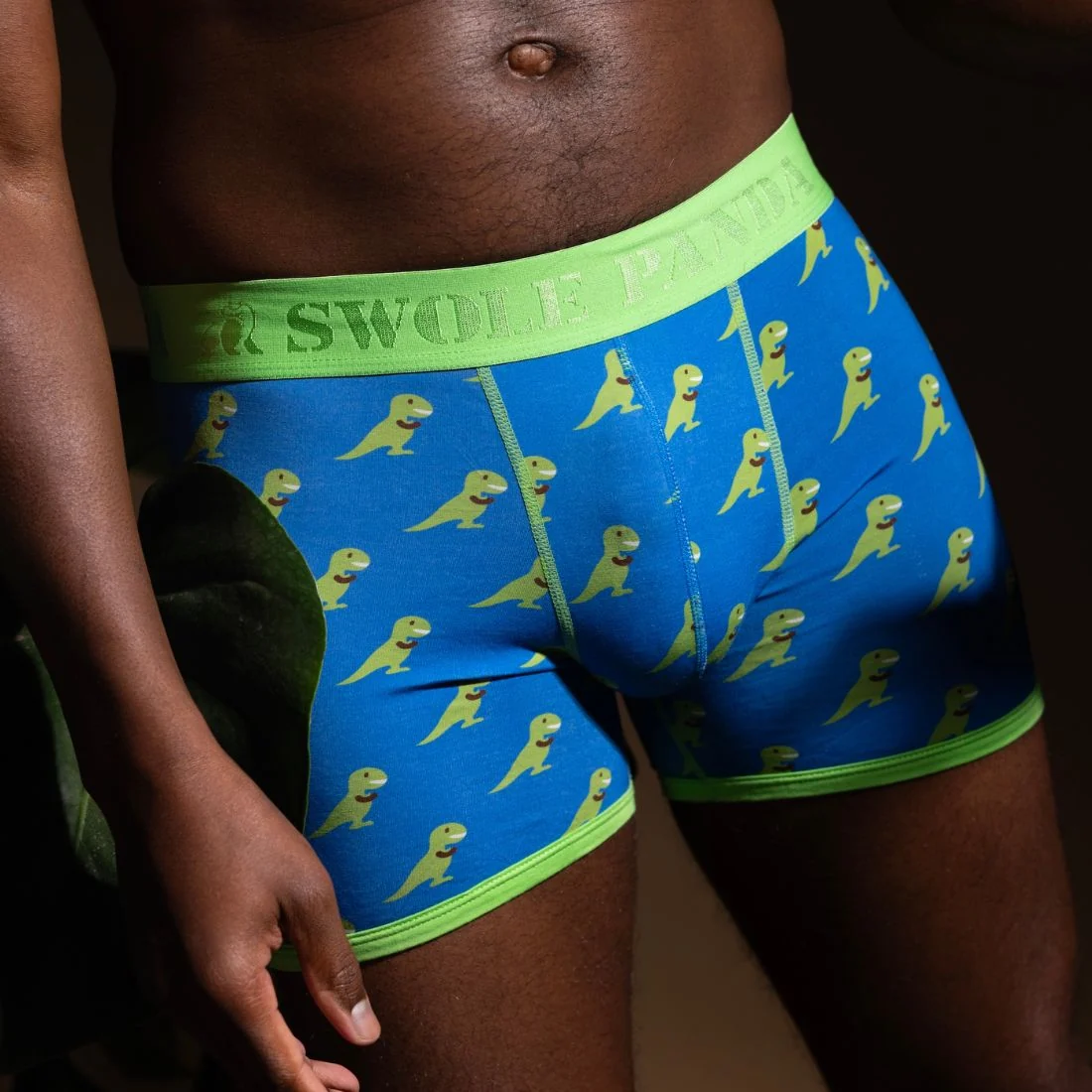 T-Rex Bamboo Boxer Brief in Blue/green - Image 6