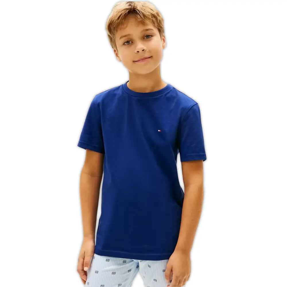 2-Pack Flag Logo Boys T-Shirts, Brisk Blue / Preppy Navy - Image 2