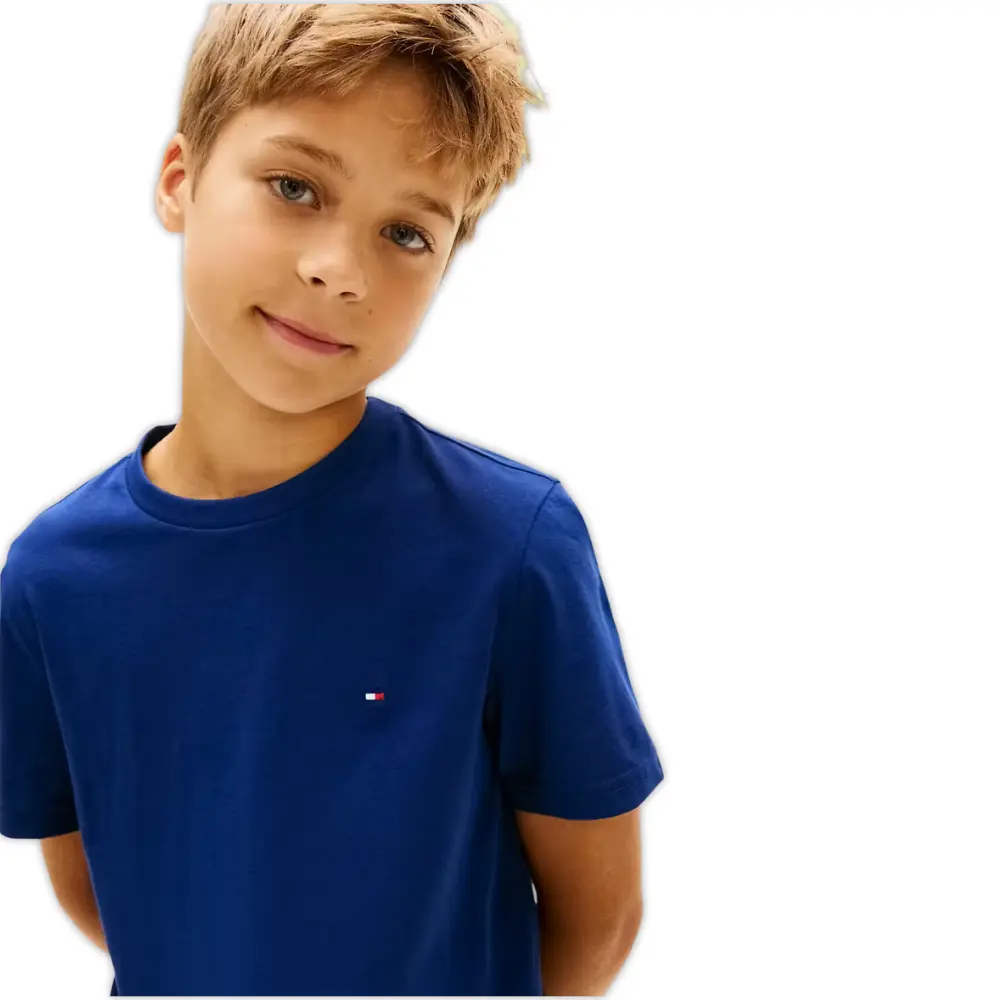 2-Pack Flag Logo Boys T-Shirts, Brisk Blue / Preppy Navy - Image 3