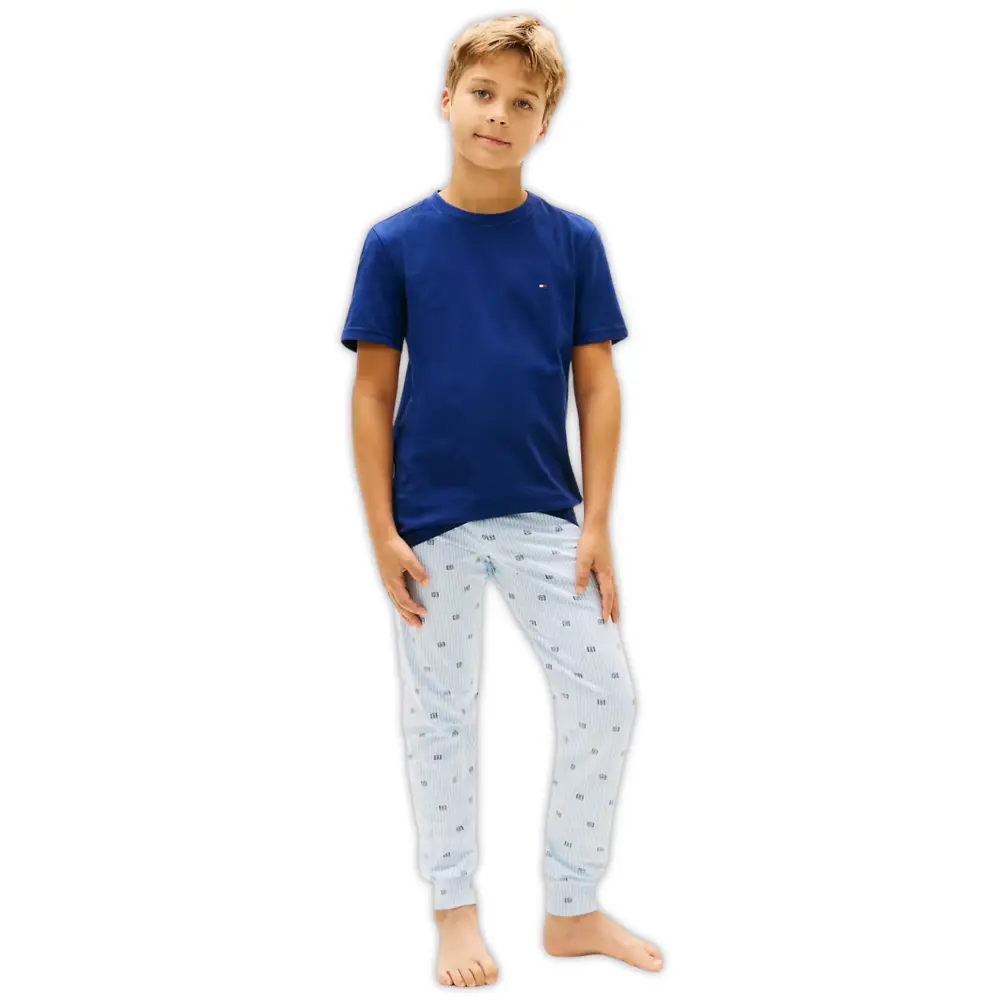 2-Pack Flag Logo Boys T-Shirts, Brisk Blue / Preppy Navy - Image 4
