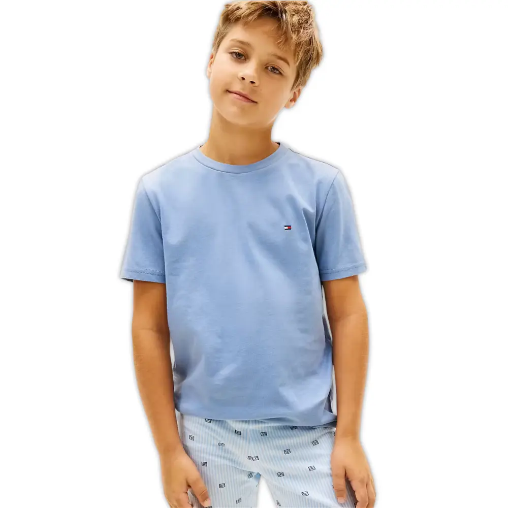 2-Pack Flag Logo Boys T-Shirts, Brisk Blue / Preppy Navy - Image 6