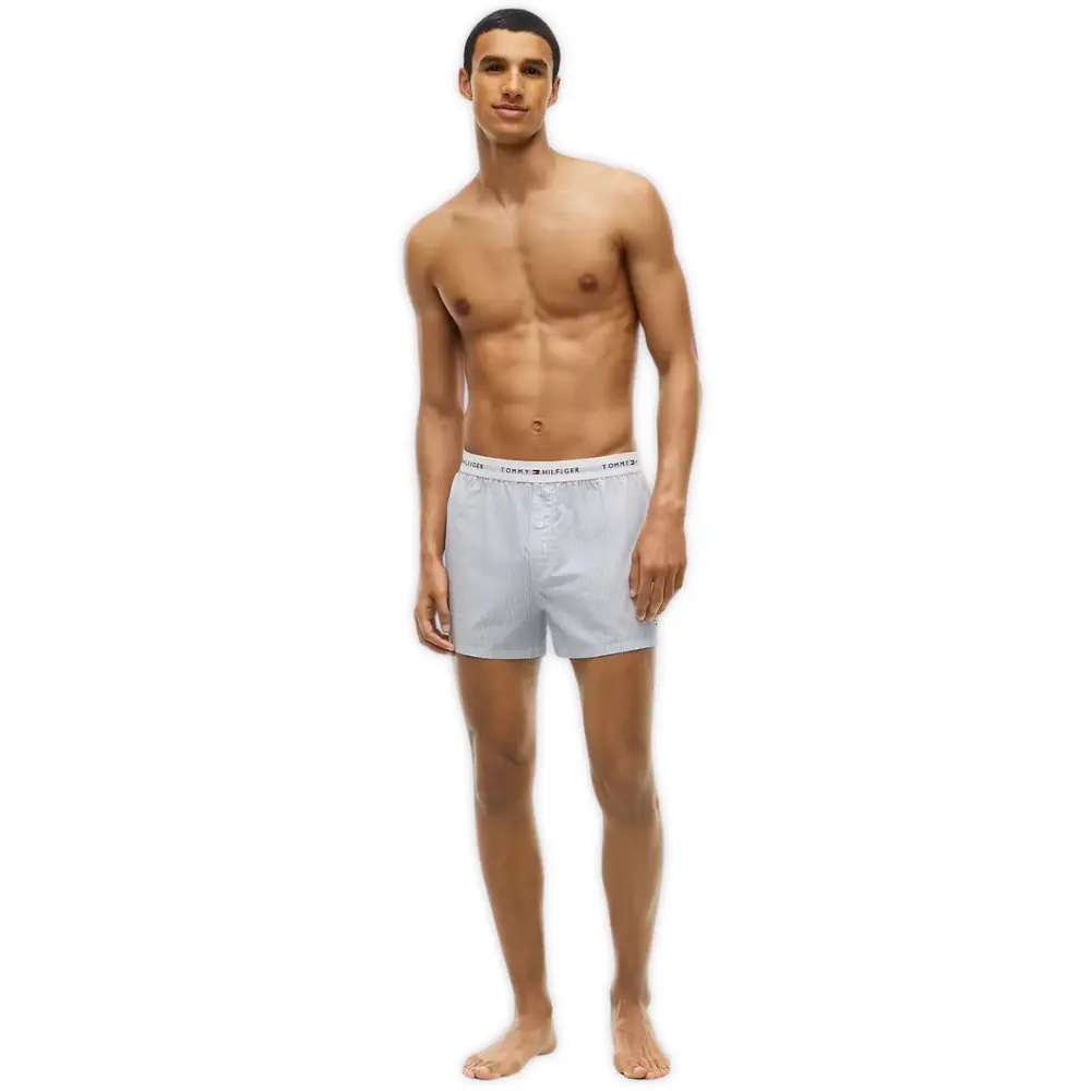 2-Pack Ithica Stripe Signature Cotton Boxer Shorts, Breezy Blue - Image 4