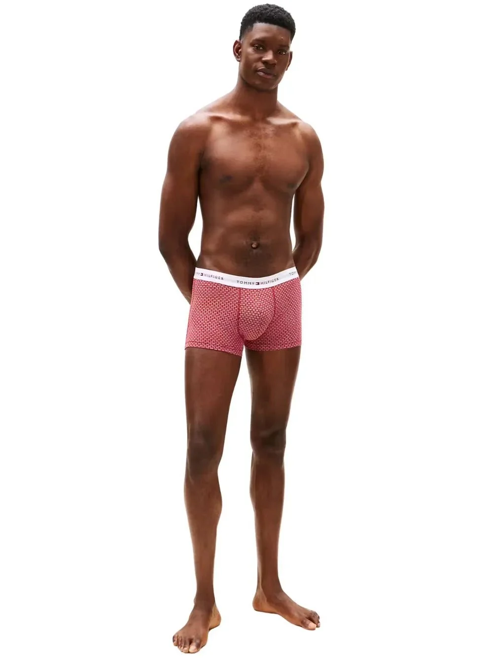 3-Pack Signature Cotton Flag DNA Print Boxer Trunks, Red/Green/Blue - Image 6