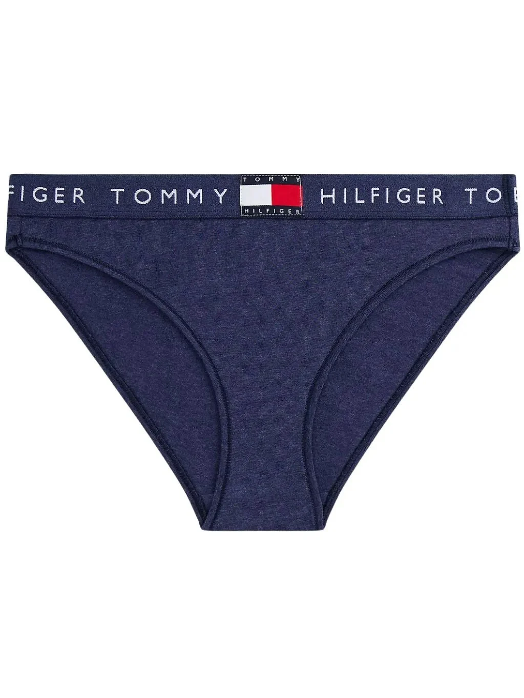 Heritage Logo Bikini Brief, Navy Heather